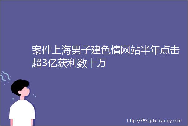 案件上海男子建色情网站半年点击超3亿获利数十万